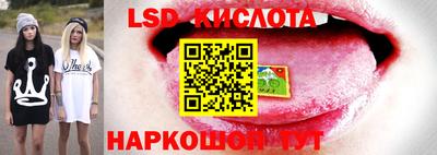 гидропоника Нарткала
