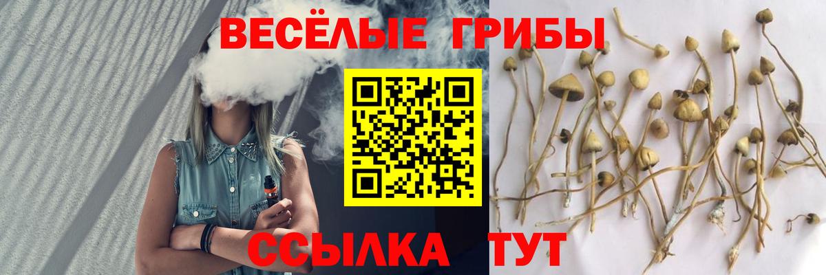 Псилоцибиновые грибы мицелий  Вход с VPN  Чебаркуль 